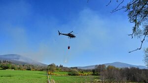Fire service issues appeal after fires on Mt Leinster
