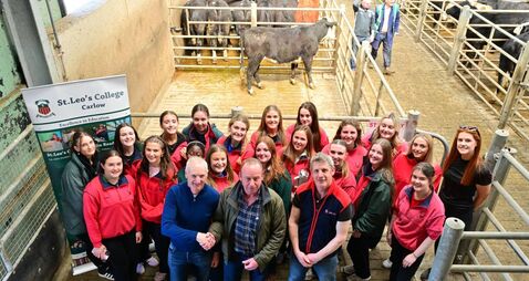 College calf Winnie makes €2,000 for local charities at mart sale 