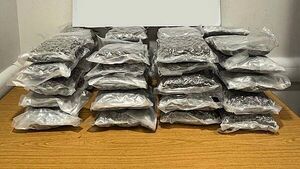 Man (20s) arrested after 22.3kg cannabis seized at Dublin Airport Man (20s) arrested after 22.3kg cannabis seized at Dublin Airport