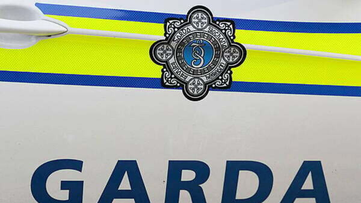 Man (20s) charged in connection with robbery in Bray