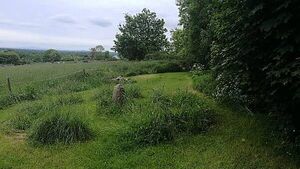 Tales from Irish folklore: What are fairy forts? Tales from Irish folklore: What are fairy forts?