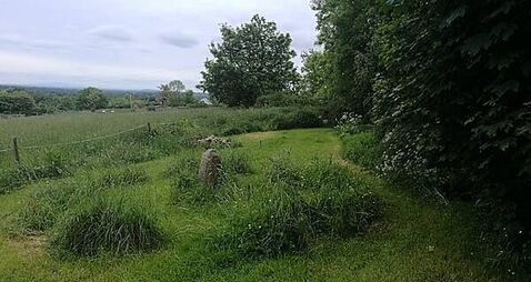 Tales from Irish folklore: What are fairy forts?
