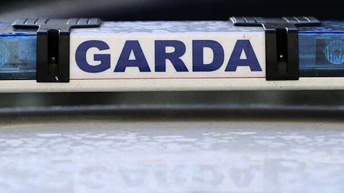 Teenager killed in Dublin scrambler crash named