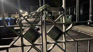 Islamic Centre to remain closed following alleged 'distressing' incident Islamic Centre to remain closed following alleged 'distressing' incident