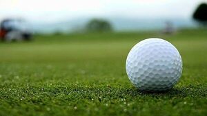 Boy hit in eye by rebounding golf ball settles case for €55,000 Boy hit in eye by rebounding golf ball settles case for €55,000