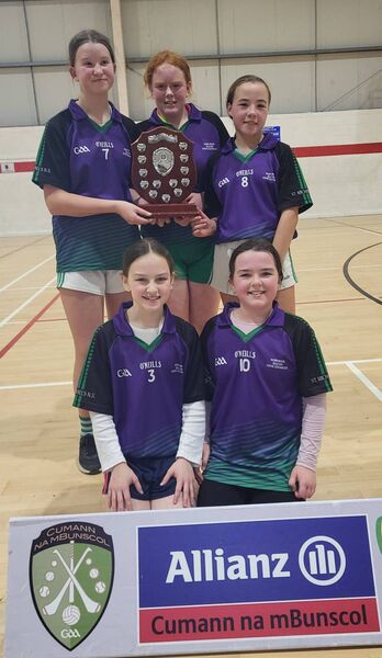 Division 2 Camogie Winners Newtown St. Mullins Division 2 Camogie Winners Newtown St. Mullins