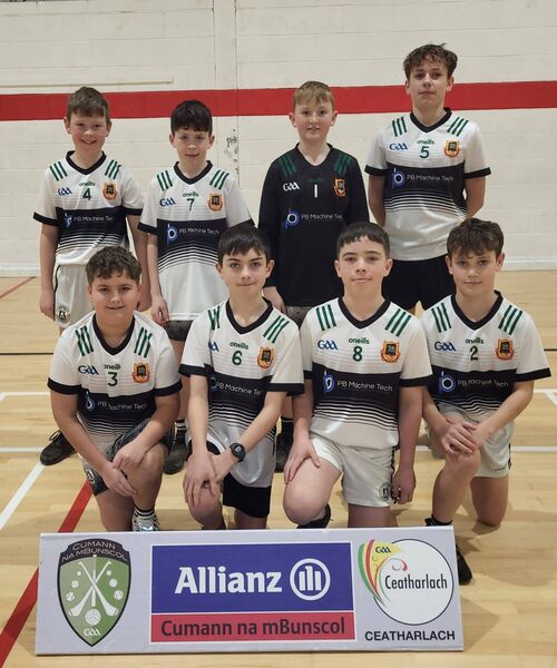 Newtown Dunleckney NS, Division 2 hurling joint runners up Newtown Dunleckney NS, Division 2 hurling joint runners up