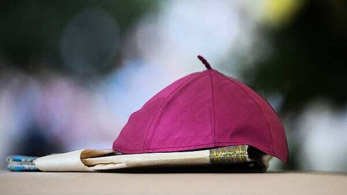 'Terrible mistake' if disgraced former bishop is 'uniquely scapegoated' over Ferns Report