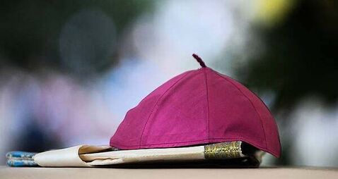 'Terrible mistake' if disgraced former bishop is 'uniquely scapegoated' over Ferns Report