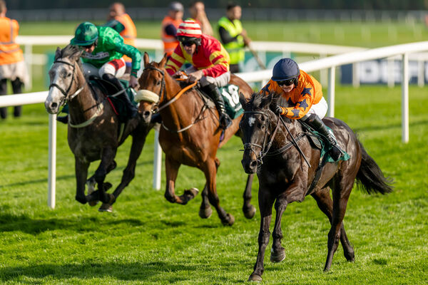 Ruth Dudfield on Wonderful Everyday wins The Goffs Defender Bumper