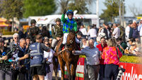 Brilliant 7428/1 treble for Willie Mullins at unpredictable day one of Punchestown 