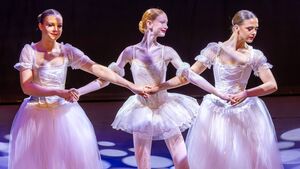 Students from tiny tots to pre-pros give a stunning display of dance 