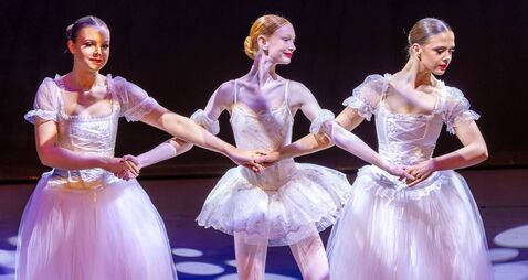 Students from tiny tots to pre-pros give a stunning display of dance 