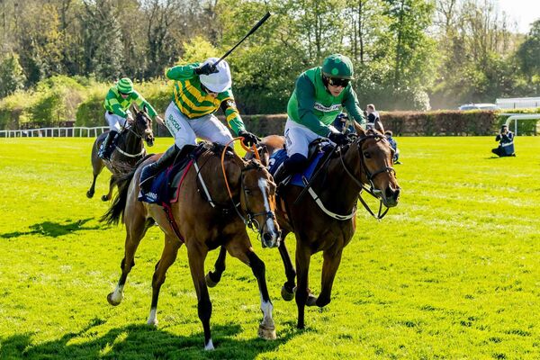 Paul Townend on Jasmin De Vaux alongside Mark Walsh on Honesty Policy before eventually winning The Channor Real Estate Group Novice Hurdle Paul Townend on Jasmin De Vaux alongside Mark Walsh on Honesty Policy before eventually winning The Channor Real Estate Group Novice Hurdle