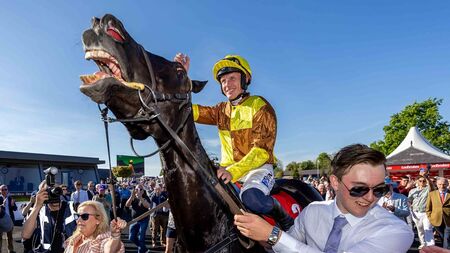 Glorious Galopin tops a fabulous five-timer for Team Closutton