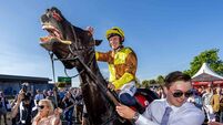 Glorious Galopin tops a fabulous five-timer for Team Closutton 