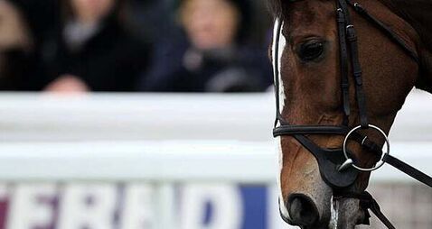 Man who took racehorse is 'perilously' close to being jailed if he does not return it