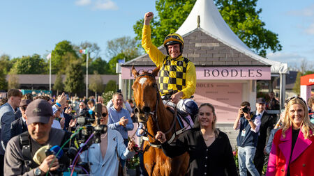 State Man shows his class to land Champion Hurdle glory