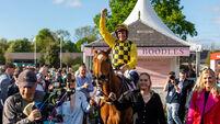 State Man shows his class to land Champion Hurdle glory 