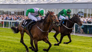 Terrific 191/1 day four treble for Emmet Mullins