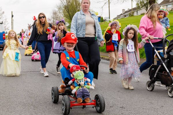 A cast of colourful characters pictured during the Hacketstown Easter Parade