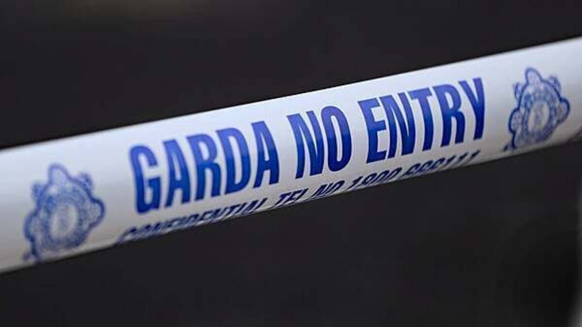Body of woman aged in her 70s found in house fire in Limerick