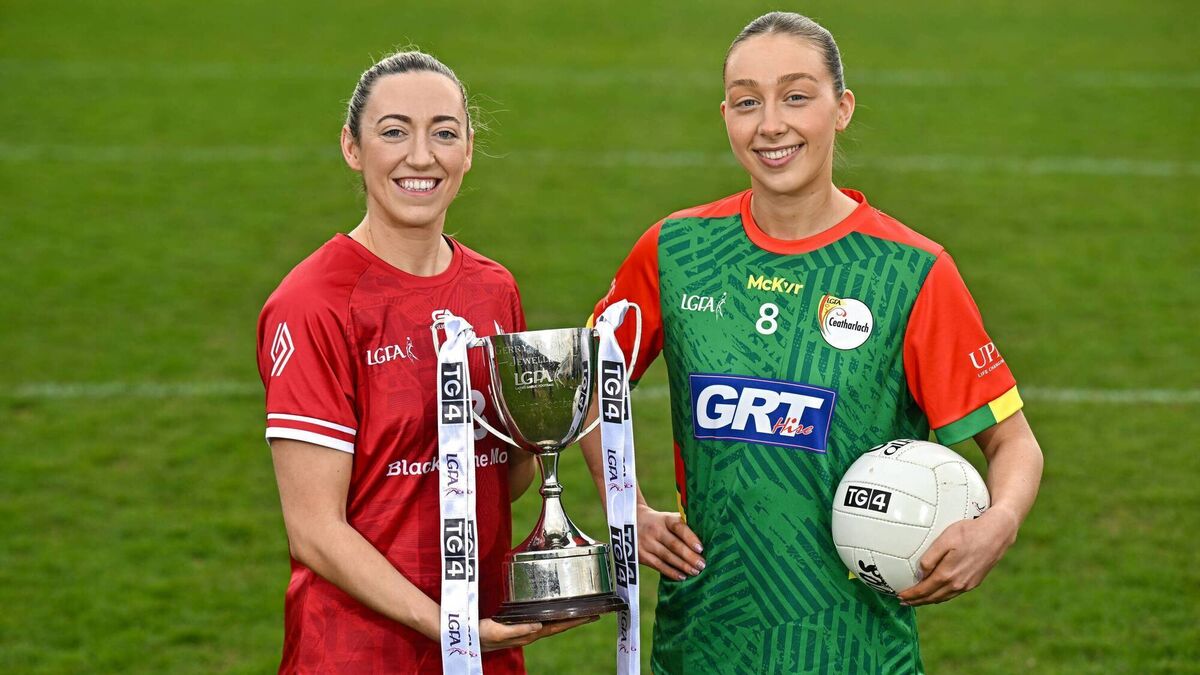 Louth goals put paid to Carlow's hopes in Drogheda