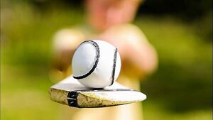 Leinster camogie semi almost cancelled as Kilkenny and Dublin choose shorts over skorts Leinster camogie semi almost cancelled as Kilkenny and Dublin choose shorts over skorts