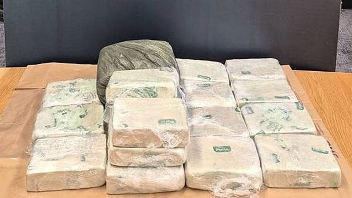 Two remanded in custody over €1.6m heroin haul in Dublin