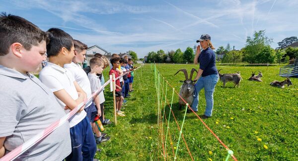 Melissa speaks to the pupils from Askea Boys NS about the Old Irish Goat breed Melissa speaks to the pupils from Askea Boys NS about the Old Irish Goat breed