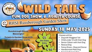 Kildare Rescue Tails: Dog agility course taking place this weekend