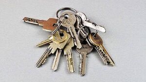 Man (20s) arrested by gardaí investigating alleged accommodation fraud in Dublin Man (20s) arrested by gardaí investigating alleged accommodation fraud in Dublin