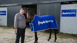 Hewick aiming for French Hurdle this weekend Hewick aiming for French Hurdle this weekend