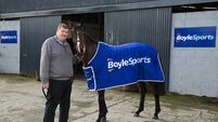 Hewick aiming for French Hurdle this weekend