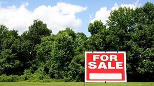 Land prices in Co Carlow are the second most expensive in Leinster Land prices in Co Carlow are the second most expensive in Leinster