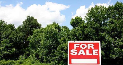 Land prices in Co Carlow are the second most expensive in Leinster 