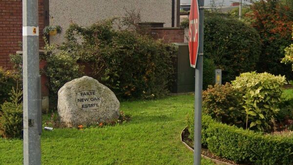One-man crime spree in Carlow estate