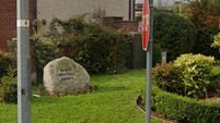 One-man crime spree in Carlow estate