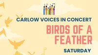 Spring concert from Carlow Voices tomorrow evening