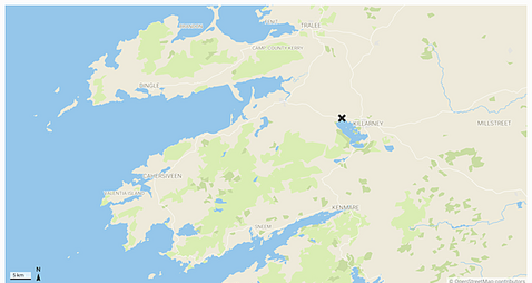 Man (20s) seriously injured in single-vehicle collision in Kerry