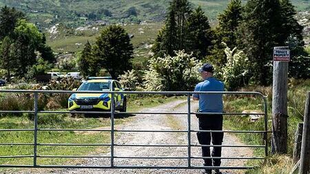 Man (50s) arrested on suspicion of murder of Kerry farmer Michael Gaine