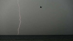 Met Éireann issues immediate thunderstorm warning for five counties Met Éireann issues immediate thunderstorm warning for five counties