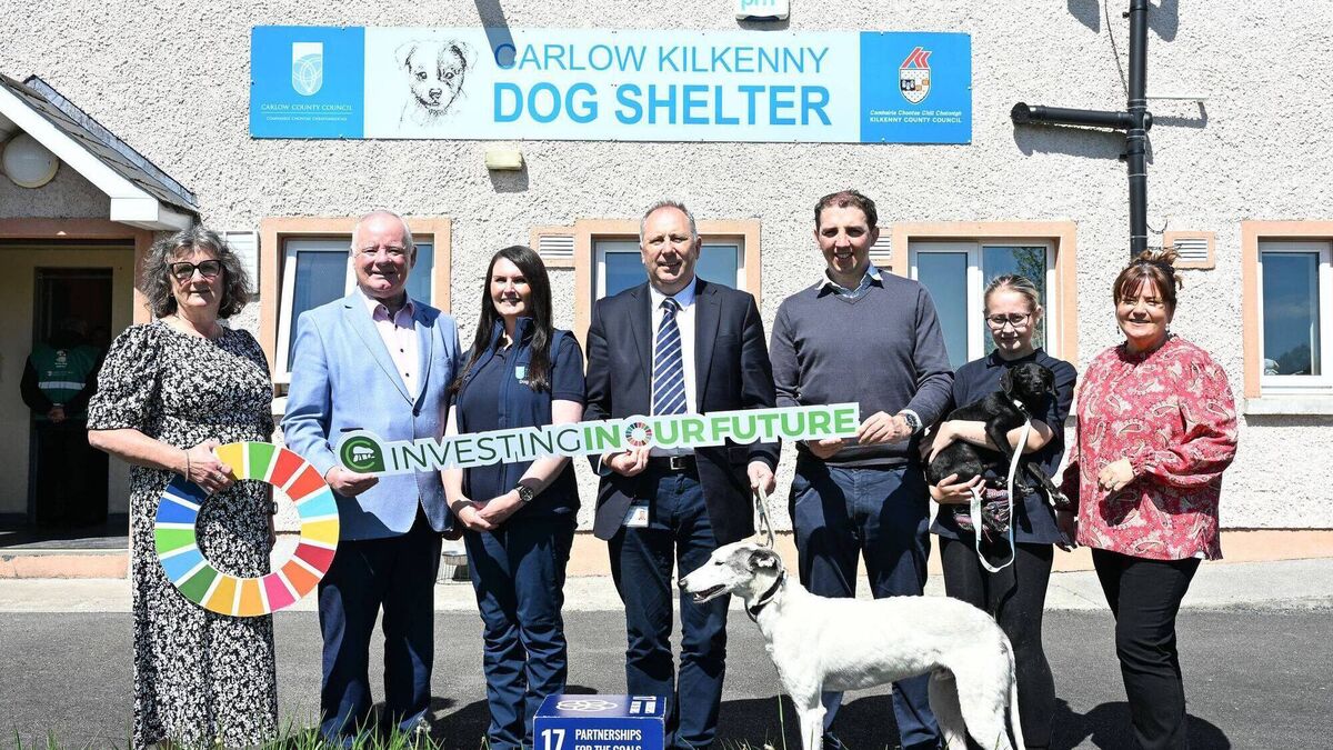 Second dog warden appointed to Co Carlow