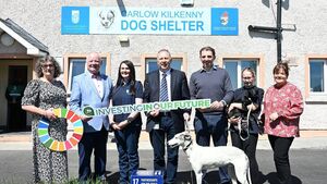 Second dog warden appointed to Co Carlow