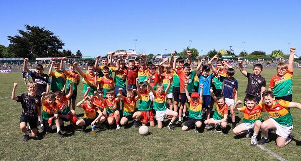Some of the young Carlow supporters in Netwatch Cullen Park to cheer on the county footballers Photo: Pat Ahern