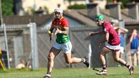 Mullaly glad to see Carlow back to winning ways
