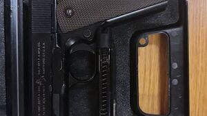 Five people arrested as drugs and imitation firearm seized in Co Wicklow Five people arrested as drugs and imitation firearm seized in Co Wicklow