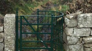 County council urged to take charge of neglected graveyard