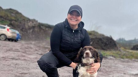 Rescue dogs to display their skills at training weekend
