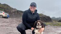 Rescue dogs to display their skills at training weekend 